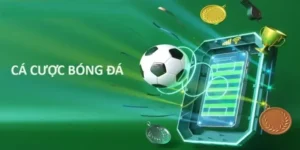 Tìm Hiểu Cá Cược Bóng Đá S666 Đầy Thú Vị Và Cơ Hội Thắng Lớn