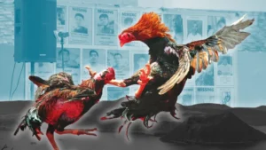 Cách Chơi Đá Gà Sabong Tại S666 Kịch Tính Và Dễ Thắng Cho Kê Thủ