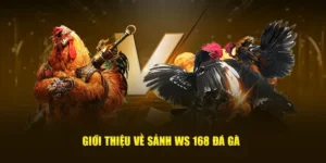 Tận Hưởng Cách Chơi Đá Gà WS168 Tại S666 Đầy Kịch Tính Và Hấp Dẫn