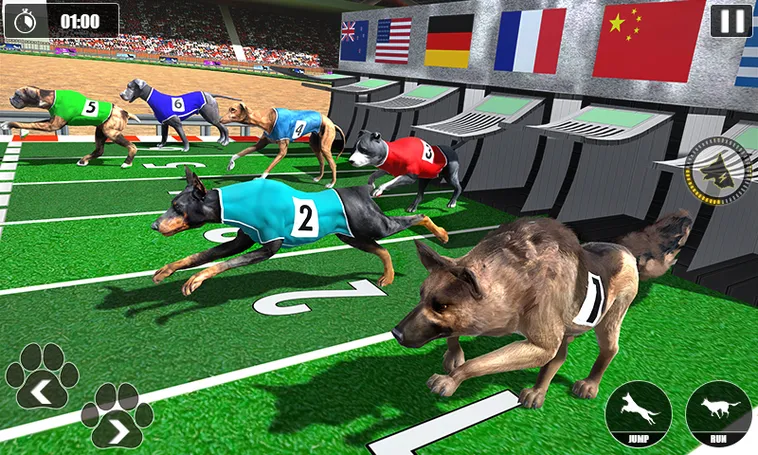 Cách Chơi Game Nhanh Đua Chó Tại S666 Hấp Dẫn Và Thắng Lớn