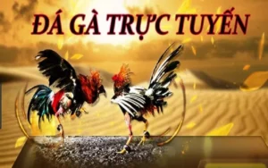 Cách Chơi Đá Gà 3D Tại S666 Hấp Dẫn Và Dễ Thắng Cho Tân Thủ