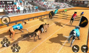 Cách Chơi Game Nhanh Đua Chó Tại S666 Hấp Dẫn Và Thắng Lớn