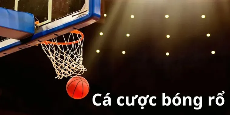 Tìm Hiểu Cá Cược Bóng Rổ S666 Với Trận Đấu Kịch Tính Và Tỷ Lệ Hấp Dẫn 2 Tìm Hiểu Cá Cược Bóng Rổ S666 Với Trận Đấu Kịch Tính Và Tỷ Lệ Hấp Dẫn